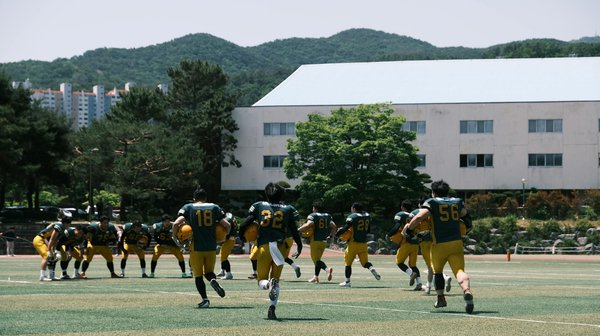 What Are the Common Misconceptions About UK Healthcare?