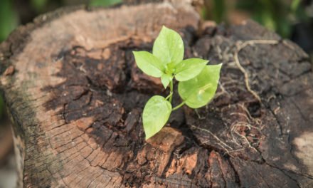 Qu’est-ce que la résilience