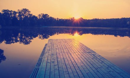 Nutrition émotionnelle